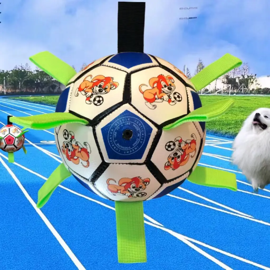 Factory wholesale dog football pet toy molars bite-resistant small football outdoor sports training bite toys — feature 3
