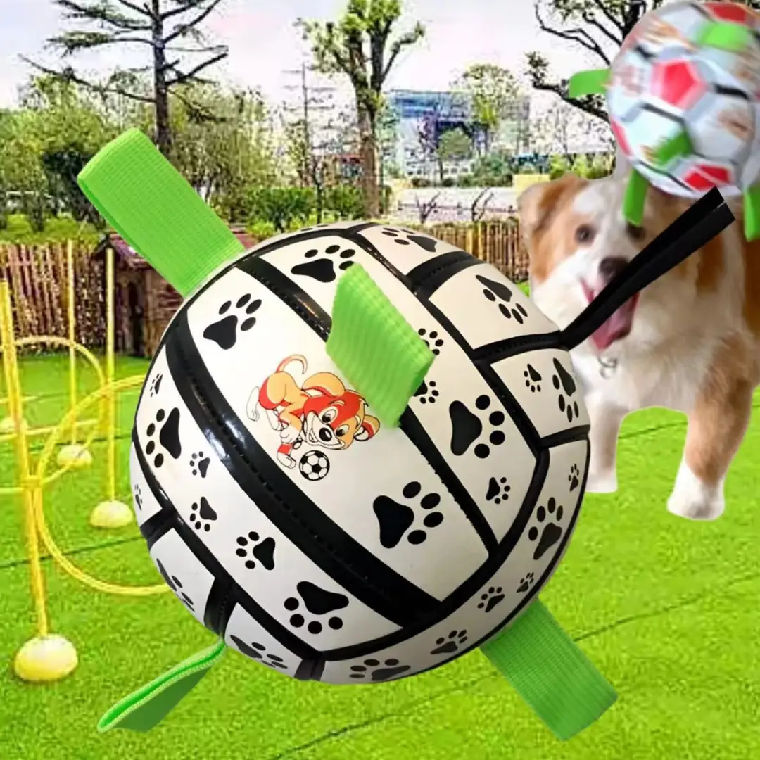 Factory wholesale dog football pet toy molars bite-resistant small football outdoor sports training bite toys — feature 5