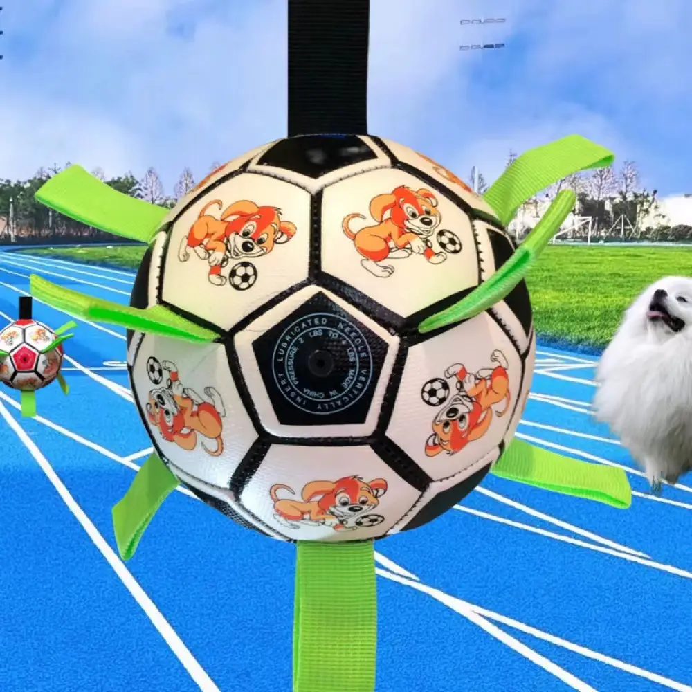 Factory wholesale dog football pet toy molars bite-resistant small football outdoor sports training bite toys