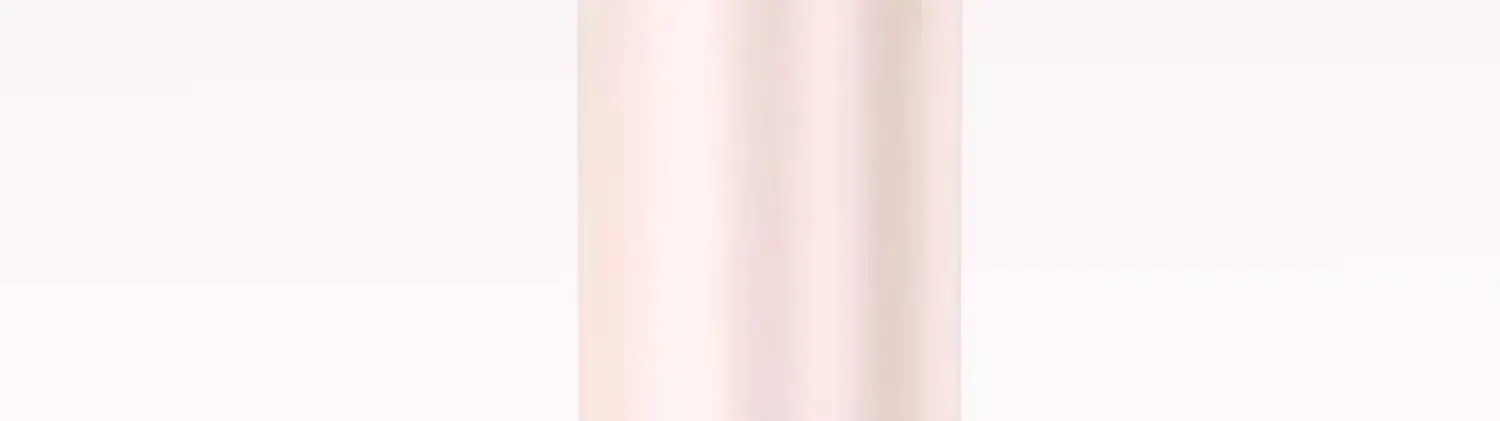 High-Speed Hair Dryer with Leather Case — feature 13