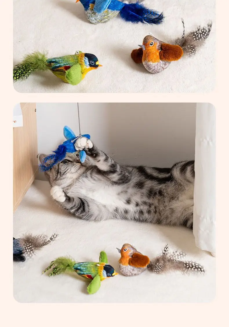 Cat Toy Sound Birds Simulation Will Call Birds to Hang Cat Toys — feature 8