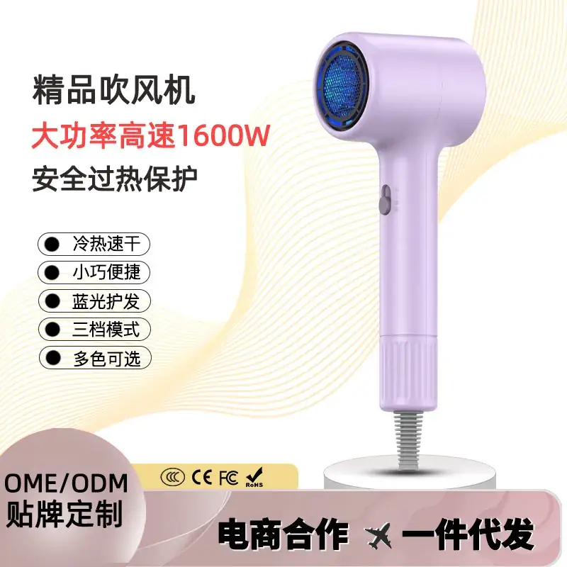 Electric Hair Dryer with Cold Wind & Negative Ion Technology