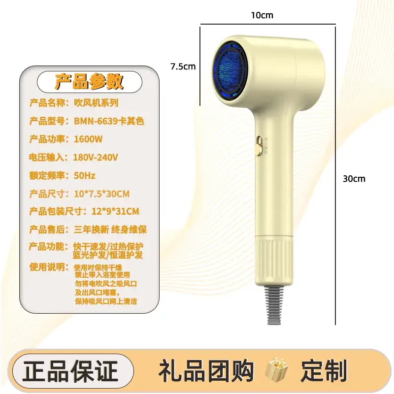 Electric Hair Dryer with Cold Wind & Negative Ion Technology