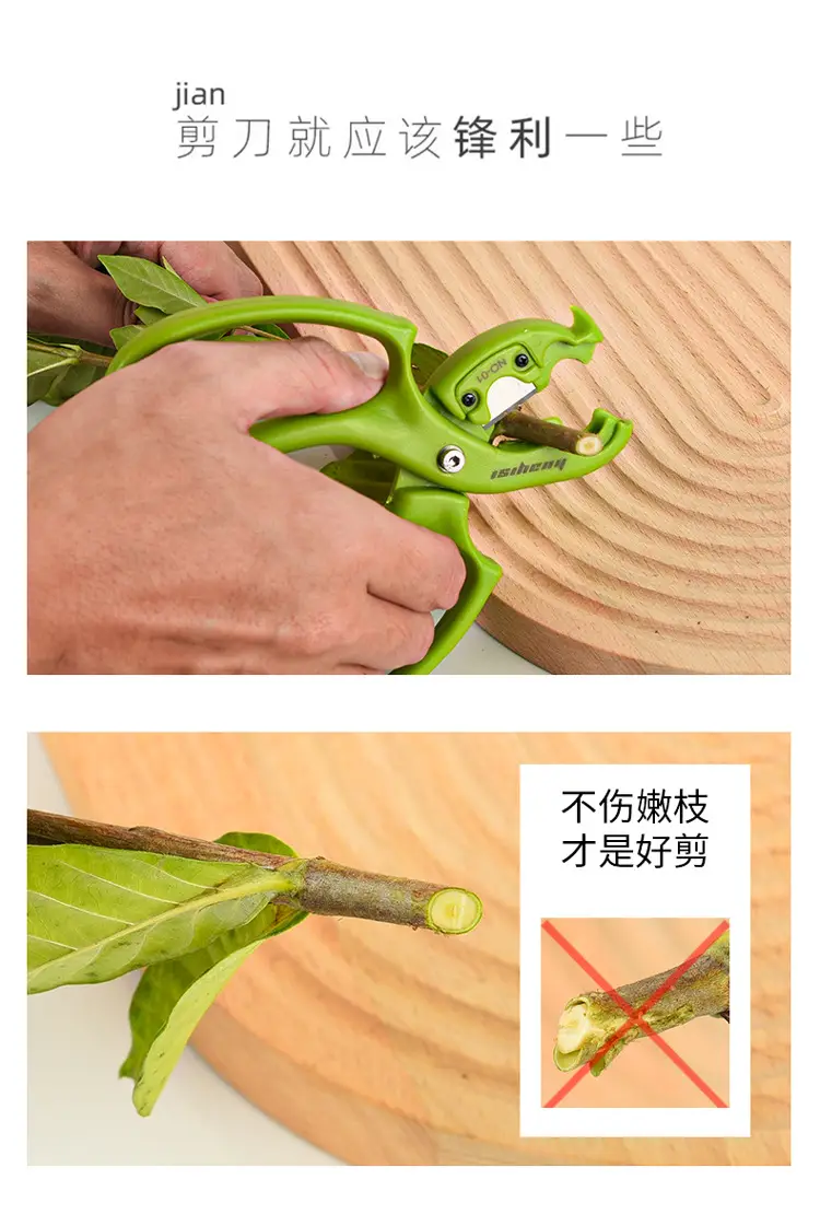 Multi-functional flower shop pruning leaves pruning flower arrangement flower cultivation can be changed blade multi-functional flower scissors — feature 5