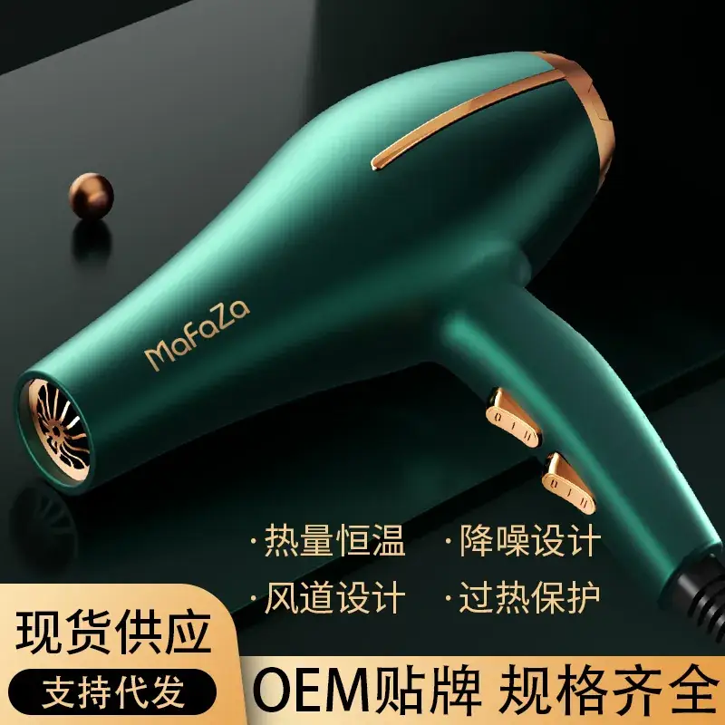 Smart Temp Hair Dryer 57°C Blue Light Salon Use