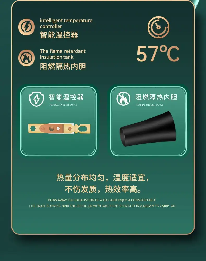 Smart Temp Hair Dryer 57°C Blue Light Salon Use — feature 12