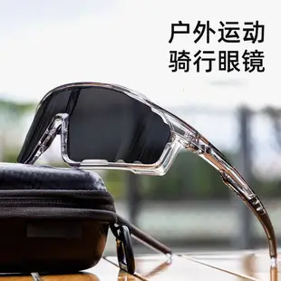 Europe Retro Large Frame Sunglasses UV Protection — feature 4