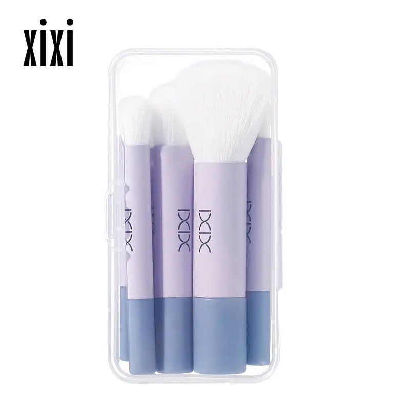 Xixi 6-Piece Mini Makeup Brush Set for Beginners