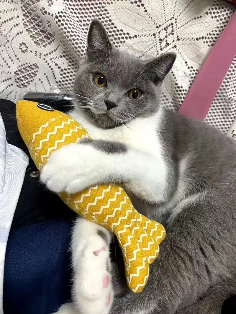 Cat Toy Self-relief Catnip Cloth Simulation Fish Kitten Molar Cat Kitten Cat Funny Stick Pet Supplies — feature 11