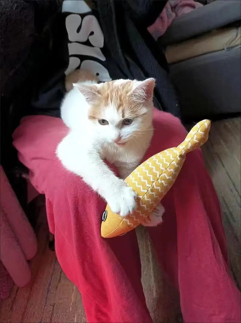 Cat Toy Self-relief Catnip Cloth Simulation Fish Kitten Molar Cat Kitten Cat Funny Stick Pet Supplies — feature 12