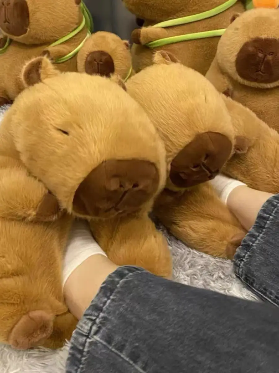 Shake Teddy Bear Cotton Slippers Plush Slippers Capibala Slippers Cartoon Capybara Cotton Slippers Wholesale — feature 2