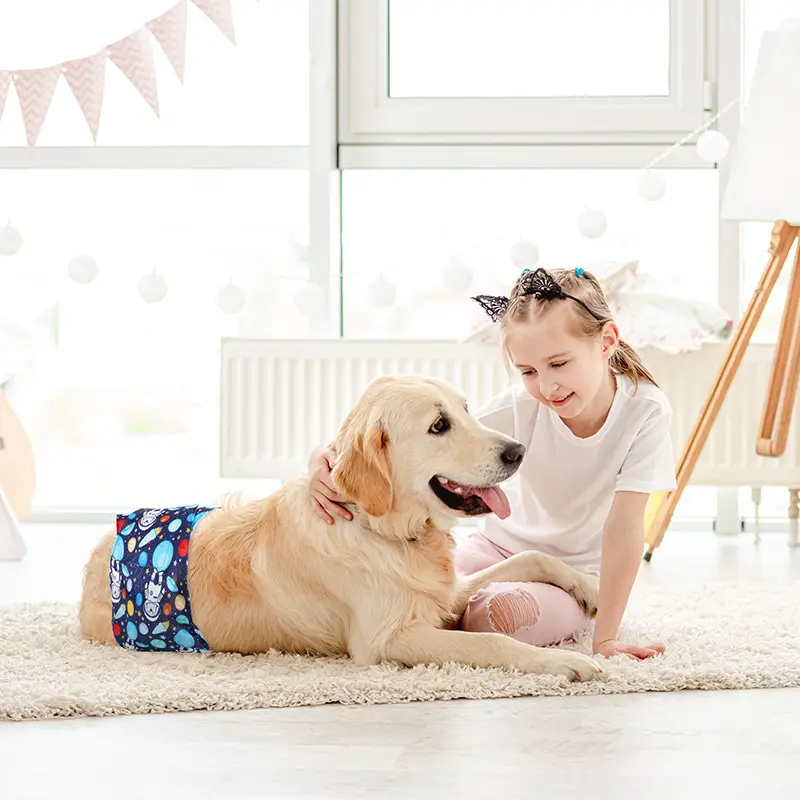 Male Dog Diaper Pants Leak-Proof Anti-Harassment Belt - Image 5