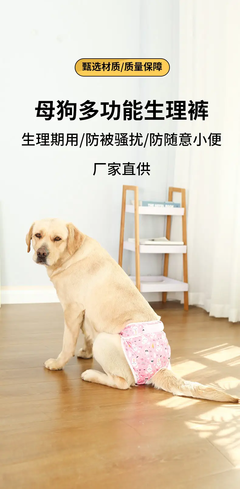 Male Dog Diaper Pants Leak-Proof Anti-Harassment Belt — feature 1