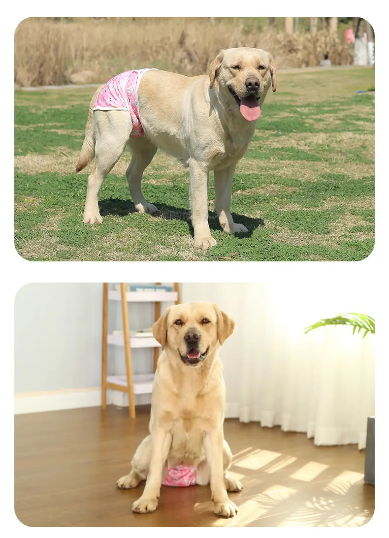 Male Dog Diaper Pants Leak-Proof Anti-Harassment Belt — feature 14