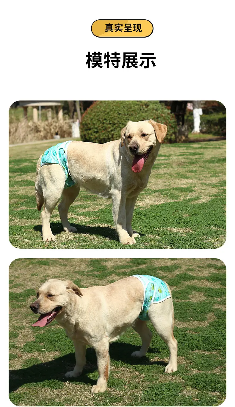 Male Dog Diaper Pants Leak-Proof Anti-Harassment Belt — feature 15