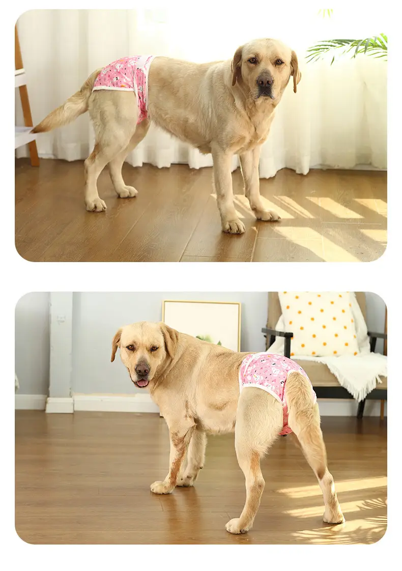 Male Dog Diaper Pants Leak-Proof Anti-Harassment Belt — feature 17