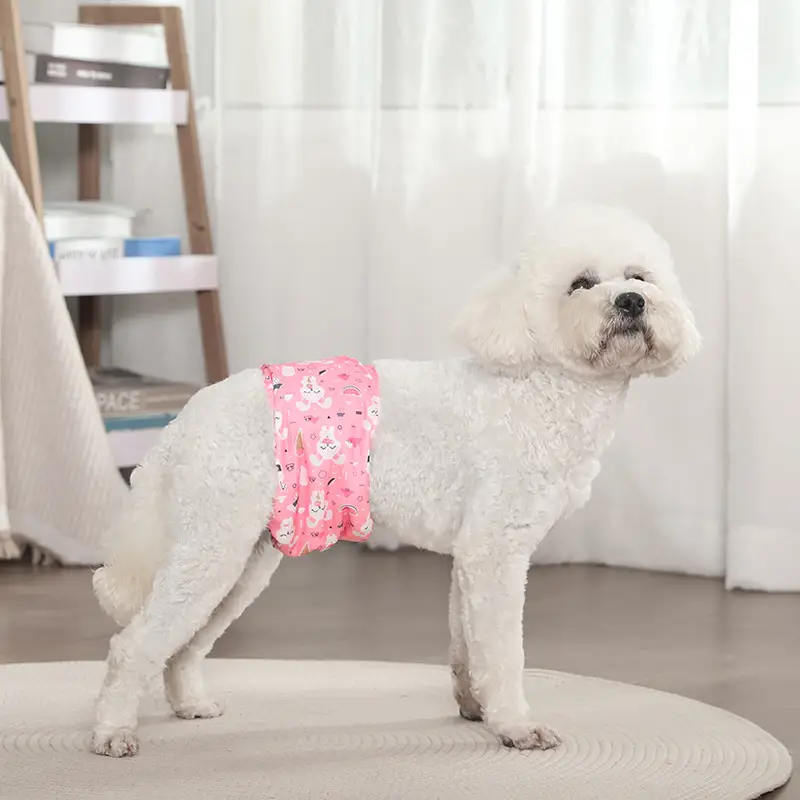 Male Dog Diaper Pants Leak-Proof Anti-Harassment Belt — feature 24