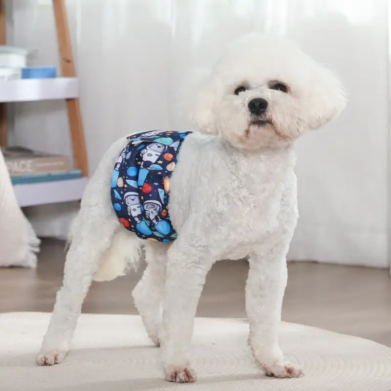Male Dog Diaper Pants Leak-Proof Anti-Harassment Belt — feature 26