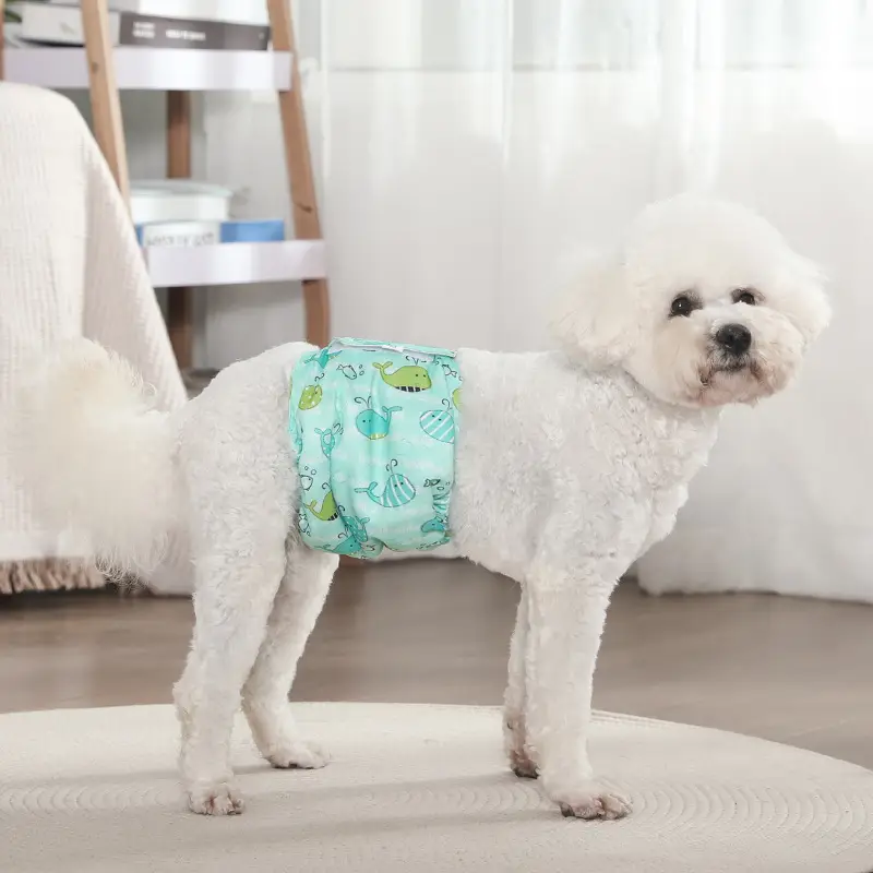 Male Dog Diaper Pants Leak-Proof Anti-Harassment Belt — feature 28