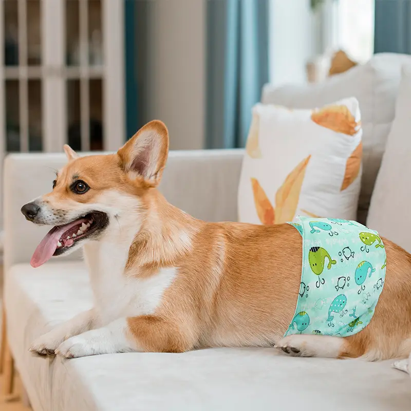 Male Dog Diaper Pants Leak-Proof Anti-Harassment Belt — feature 30