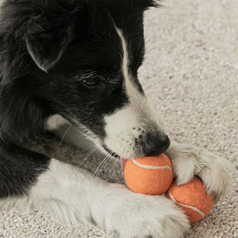 Dog toy ball self-hi to relieve boredom artifact pet side animal husbandry golden retriever Corgi bite-resistant ball molar tennis large and small dog