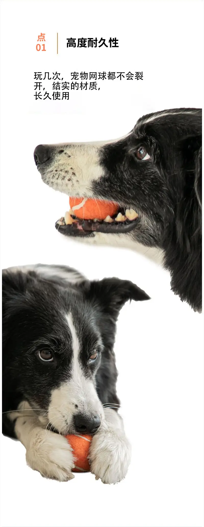 Dog toy ball self-hi to relieve boredom artifact pet side animal husbandry golden retriever Corgi bite-resistant ball molar tennis large and small dog — feature 3