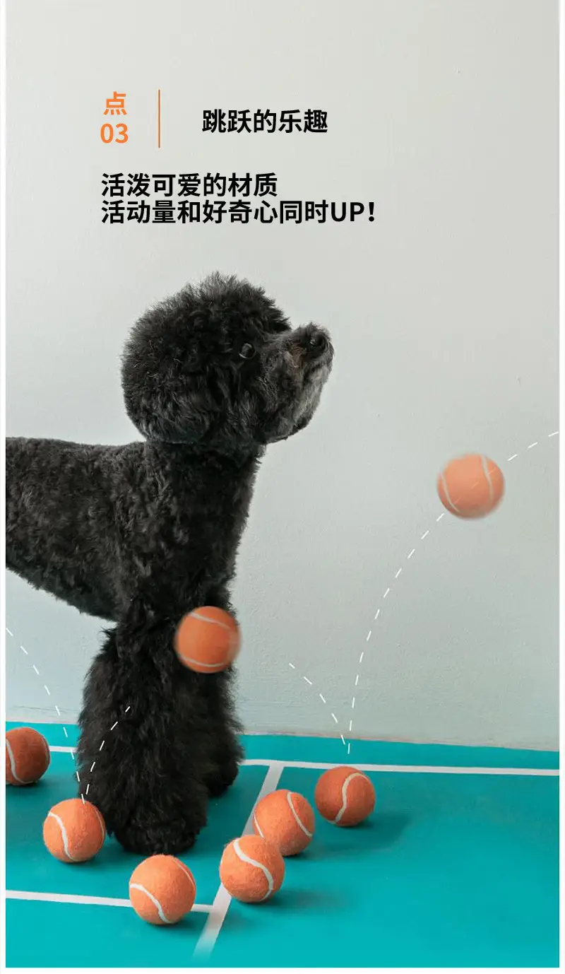 Dog toy ball self-hi to relieve boredom artifact pet side animal husbandry golden retriever Corgi bite-resistant ball molar tennis large and small dog — feature 5