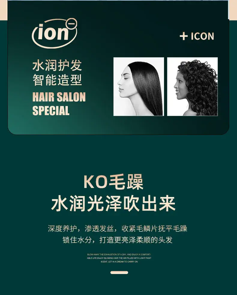 Pearl White Hair Dryer with Negative Ion Technology — feature 30