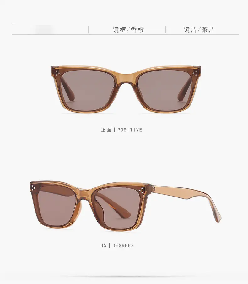 Polarized Cat Eye Sunglasses Women Anti UV — feature 16