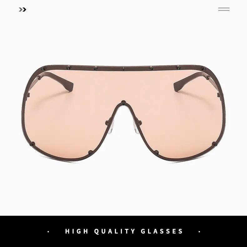 Liu Yifei Sunglasses UV400 Large Frame Black β feature 5