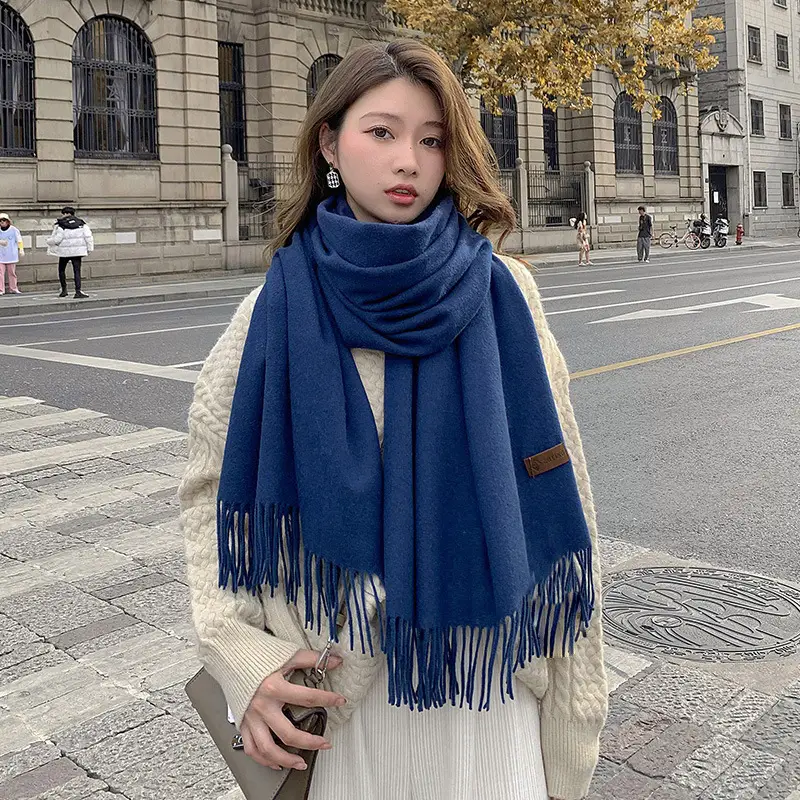 Autumn and winter thick warm ladies scarf solid color tassel cashmere gift printing embroidery shawl scarf wholesale — feature 3