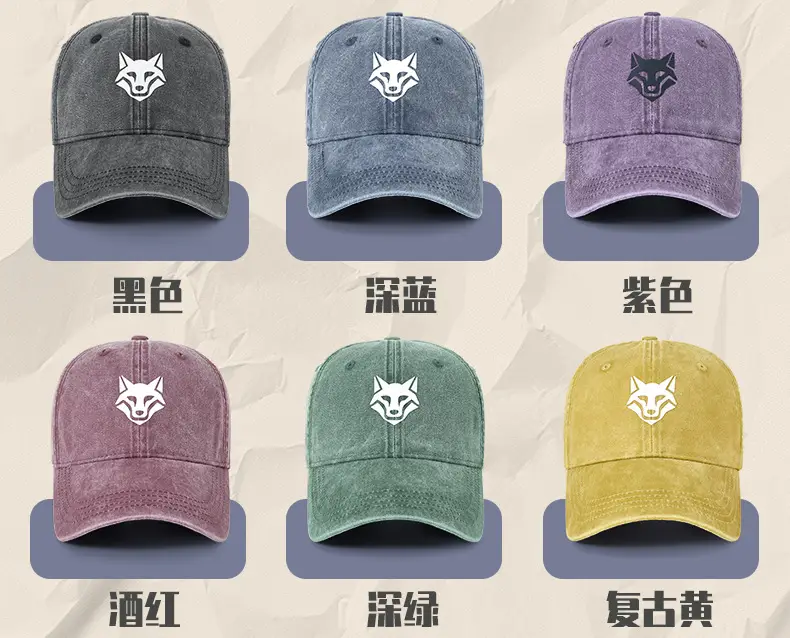 Light Blue Wolf Embroidered Baseball Cap for Women — feature 31