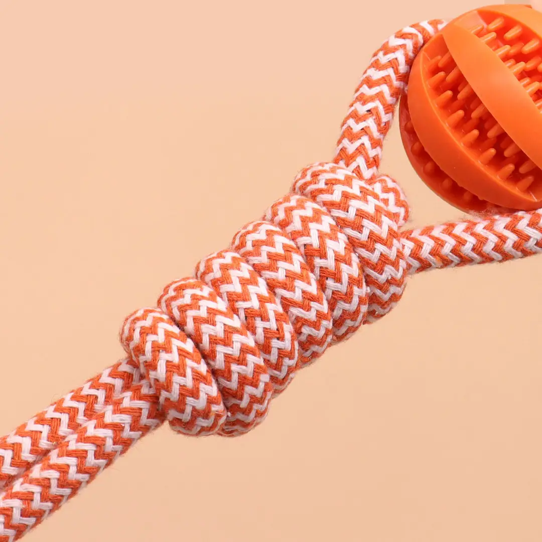 Pet Twisted Molar Pull-out Training Bite Toy Champion Trophy Plush Dog Dog Toy Interactive Dog Toy
