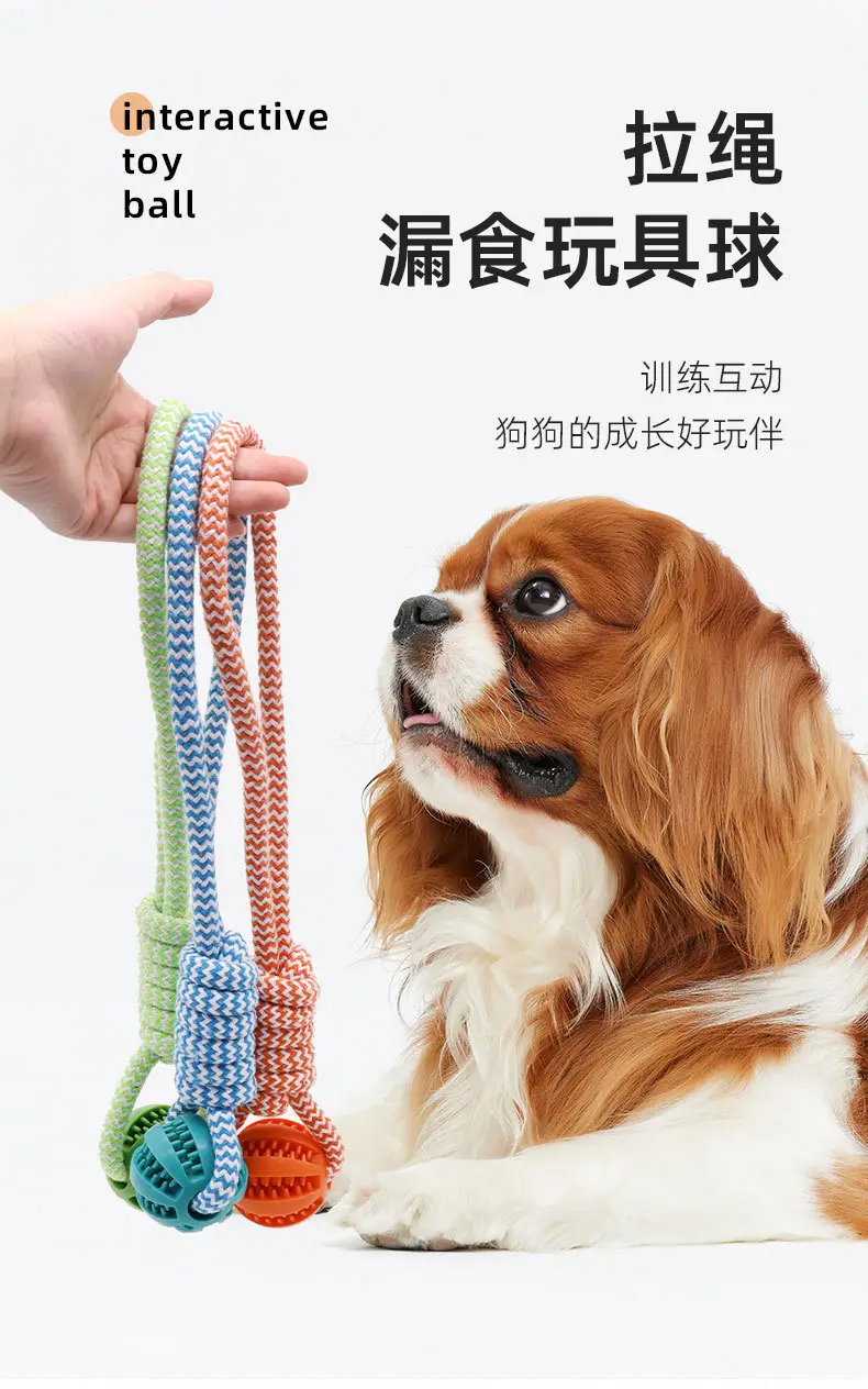 Pet Twisted Molar Pull-out Training Bite Toy Champion Trophy Plush Dog Dog Toy Interactive Dog Toy — feature 2