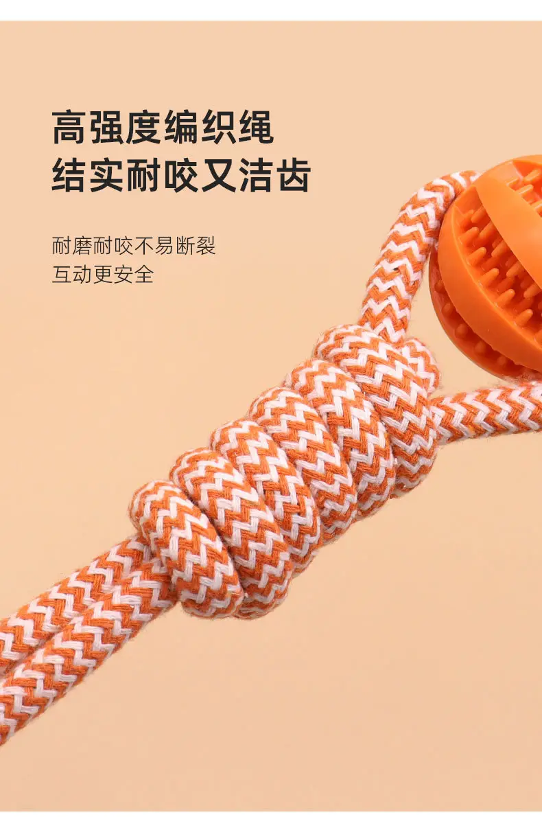 Pet Twisted Molar Pull-out Training Bite Toy Champion Trophy Plush Dog Dog Toy Interactive Dog Toy — feature 4