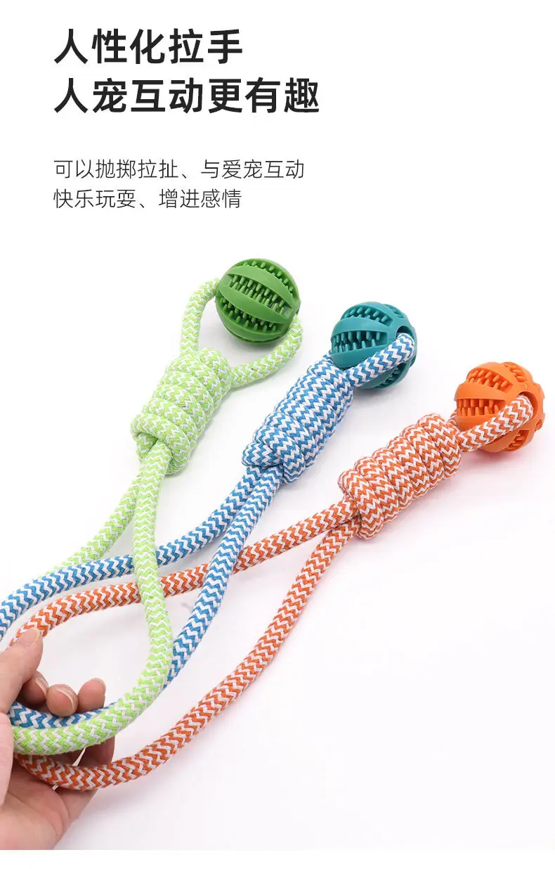 Pet Twisted Molar Pull-out Training Bite Toy Champion Trophy Plush Dog Dog Toy Interactive Dog Toy — feature 6