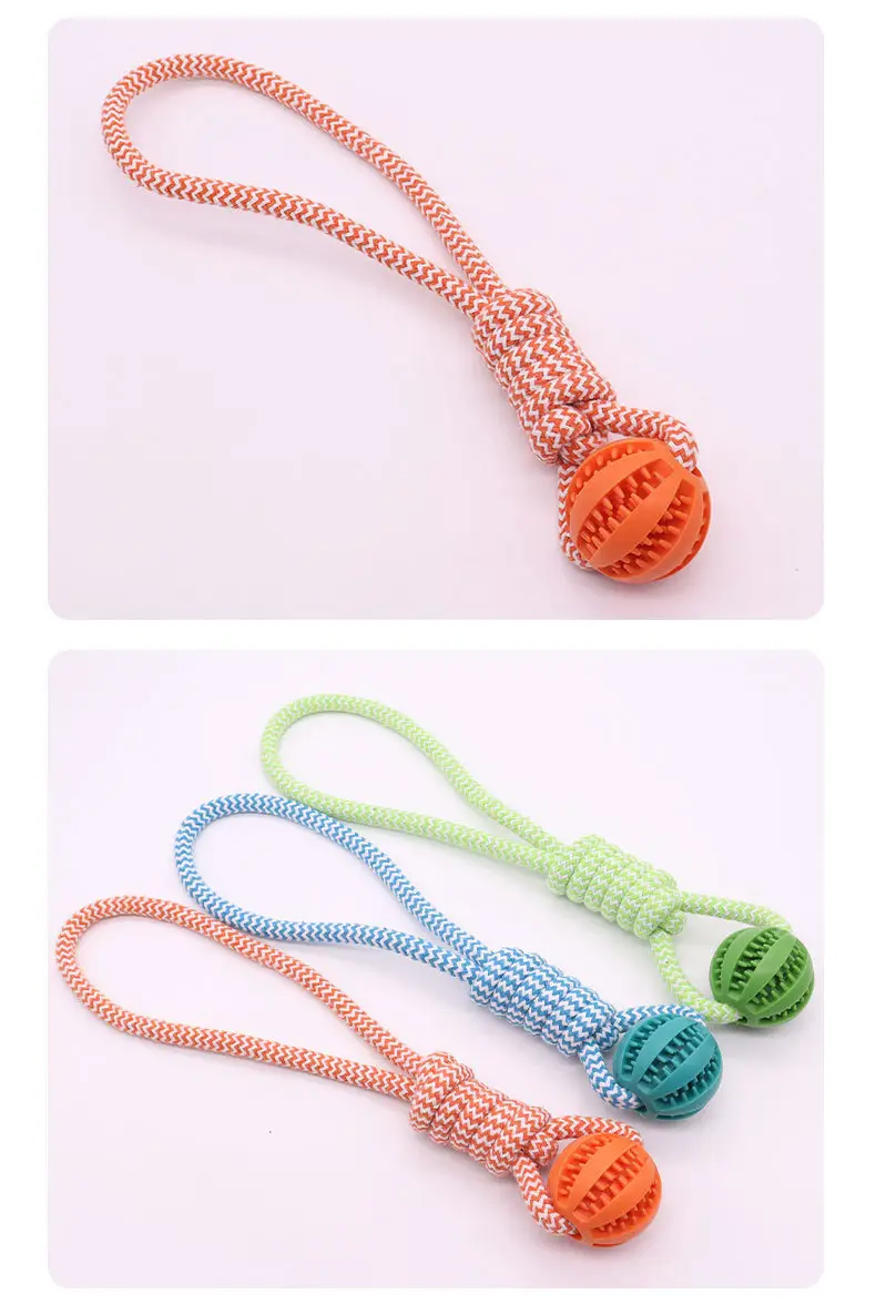 Pet Twisted Molar Pull-out Training Bite Toy Champion Trophy Plush Dog Dog Toy Interactive Dog Toy — feature 8