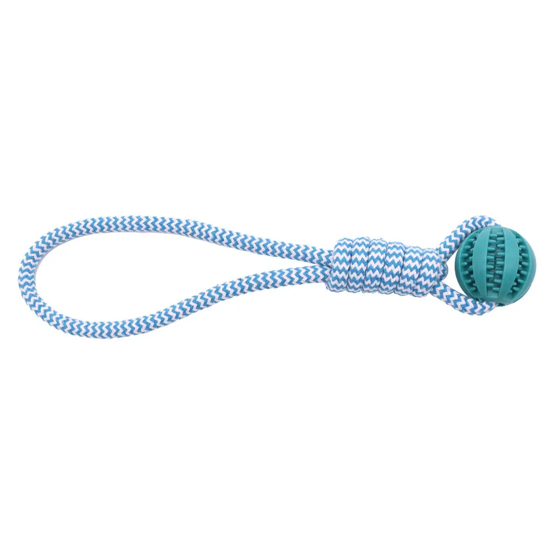 Pet Twisted Molar Pull-out Training Bite Toy Champion Trophy Plush Dog Dog Toy Interactive Dog Toy