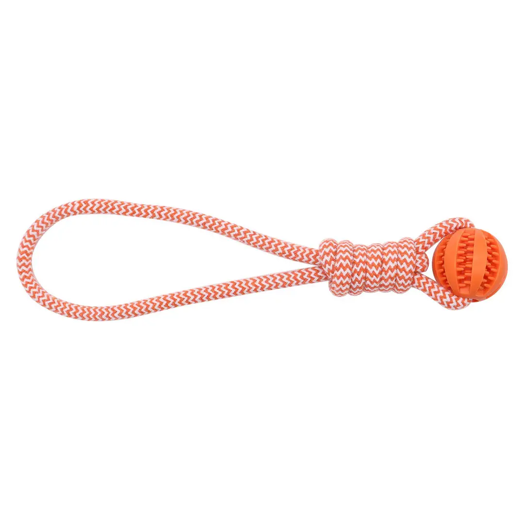 Pet Twisted Molar Pull-out Training Bite Toy Champion Trophy Plush Dog Dog Toy Interactive Dog Toy
