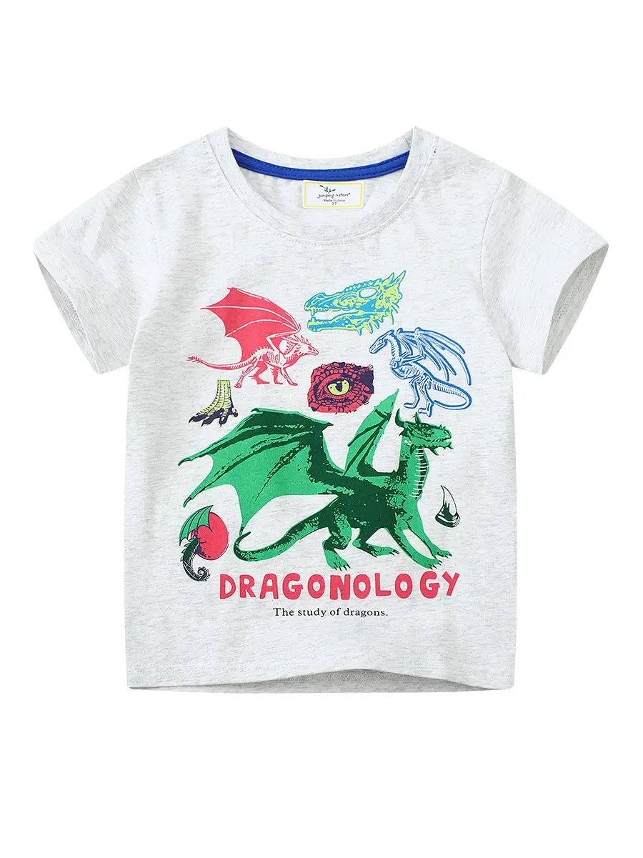 Kids Dinosaur Printed T-Shirt Grey Boys Summer