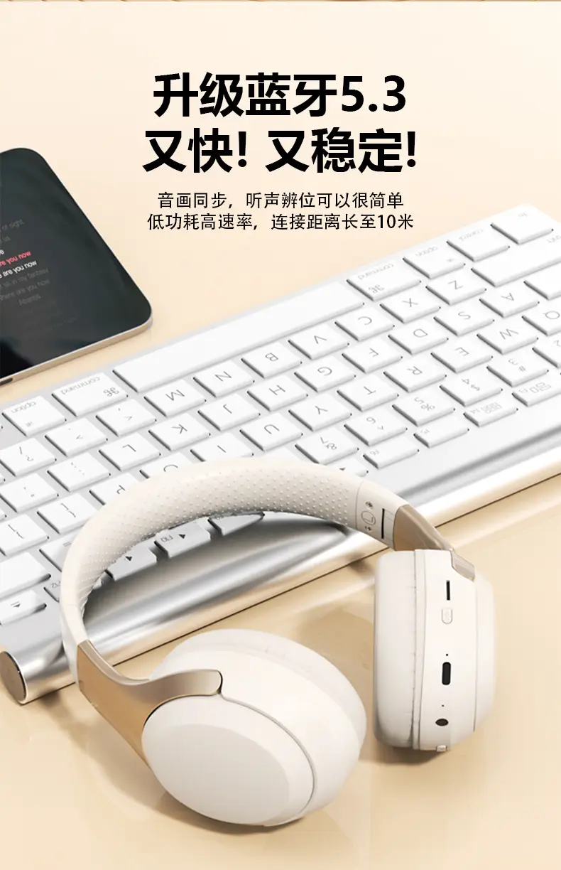 Wh300 Wireless Bluetooth Headset with Custom Logo & ODM — feature 10