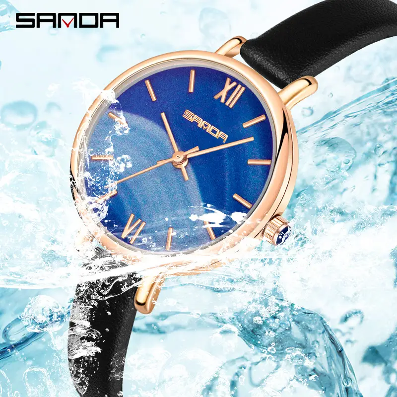 Women's Quartz Watch with Roman Dial & Black Strap