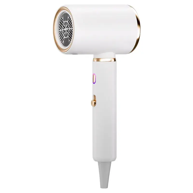 High Power Hair Dryer with 4D Blue Light & 2400W Motor