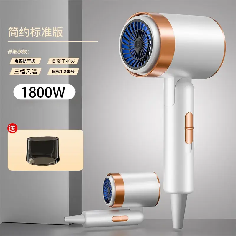 High Power Hair Dryer with 4D Blue Light & 2400W Motor