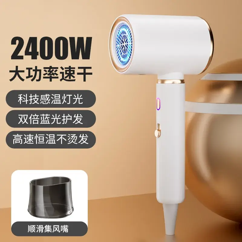 High Power Hair Dryer with 4D Blue Light & 2400W Motor