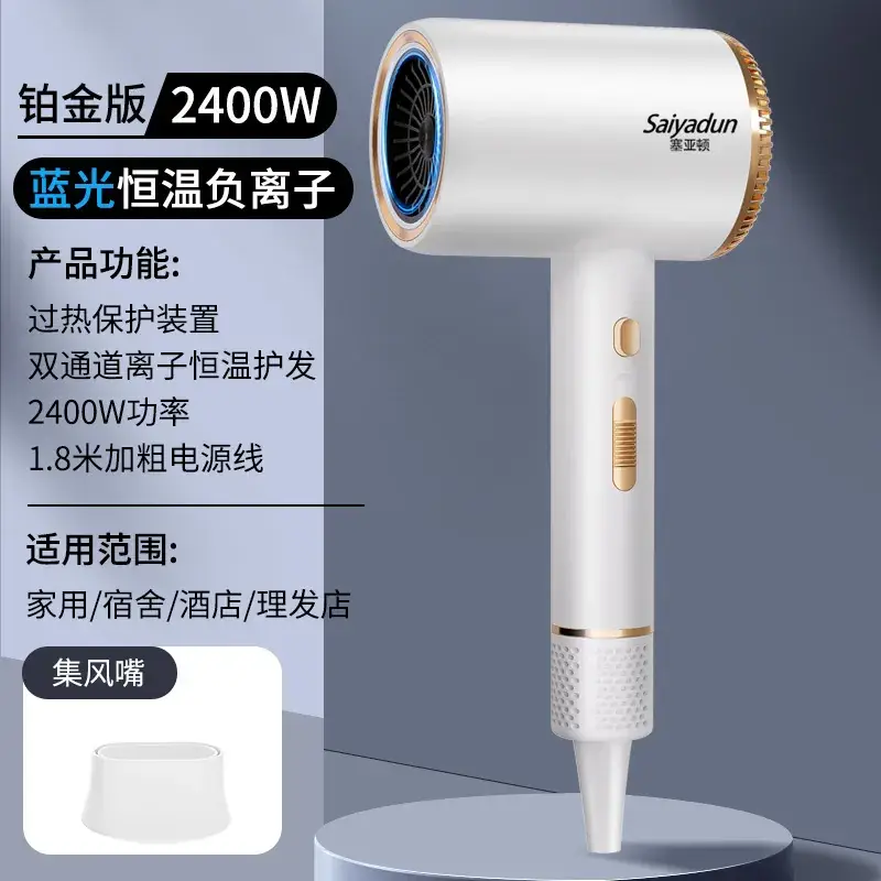 High Power Hair Dryer with 4D Blue Light & 2400W Motor