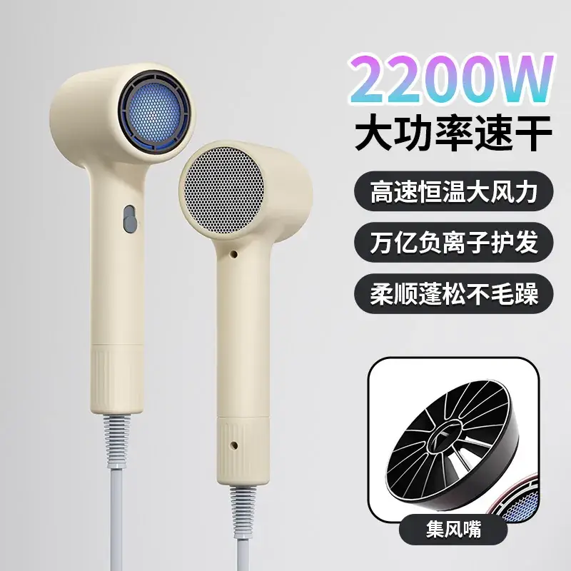 High Power Hair Dryer with 4D Blue Light & 2400W Motor