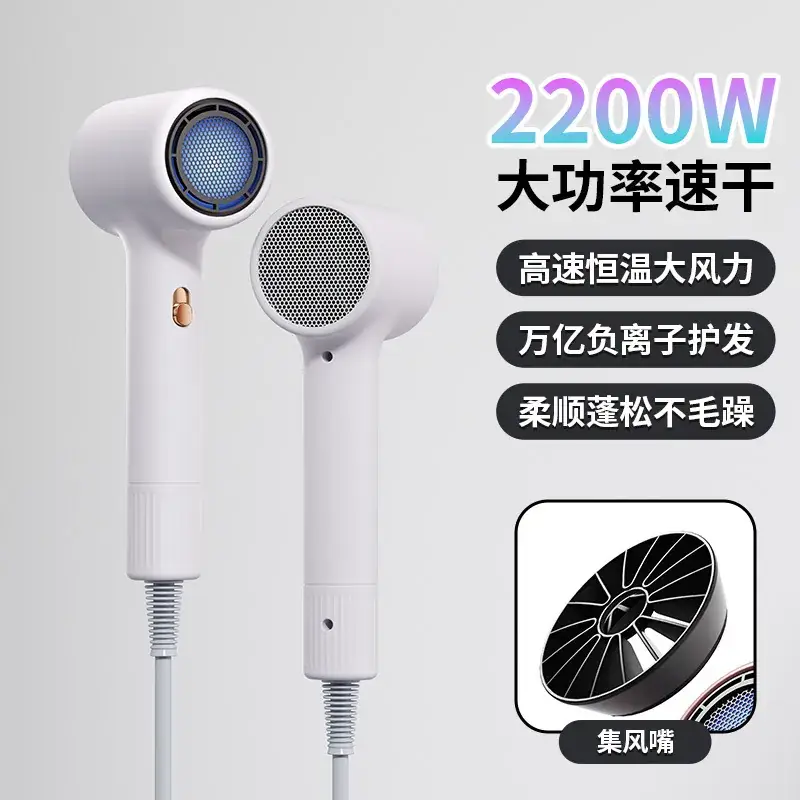 High Power Hair Dryer with 4D Blue Light & 2400W Motor