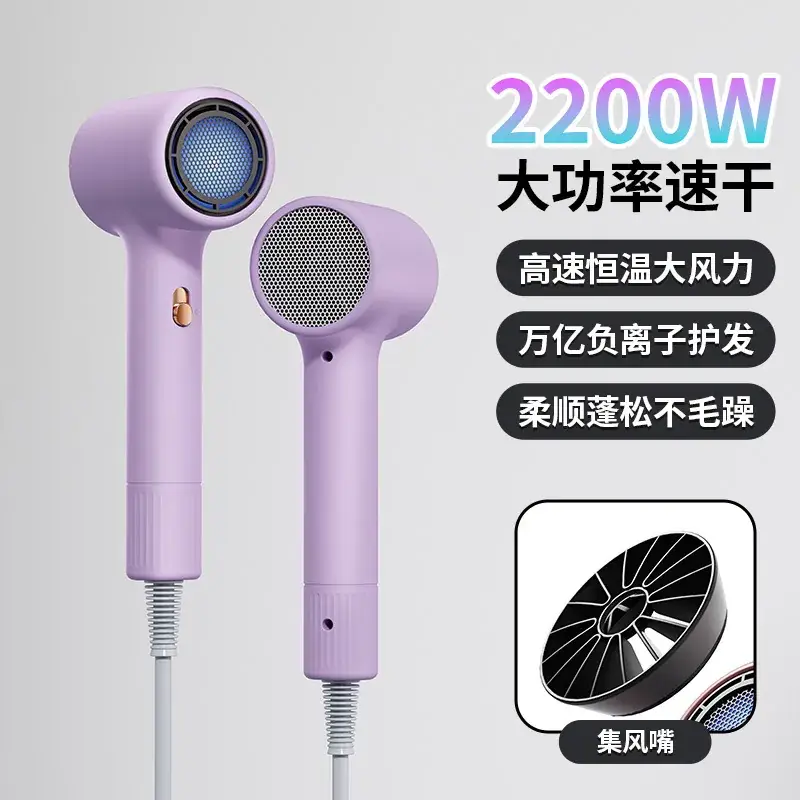 High Power Hair Dryer with 4D Blue Light & 2400W Motor