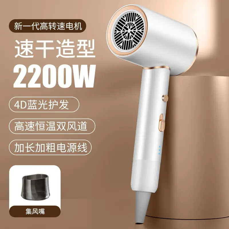 High Power Hair Dryer with 4D Blue Light & 2400W Motor
